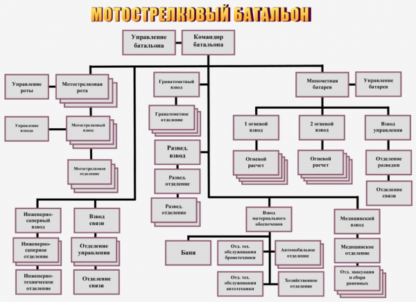 Количество воинских частей (взводов, рот, батальонов, полков и других).