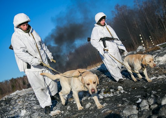 Международный противоминный центр Вооруженных Сил РФ (в/ч 33246)